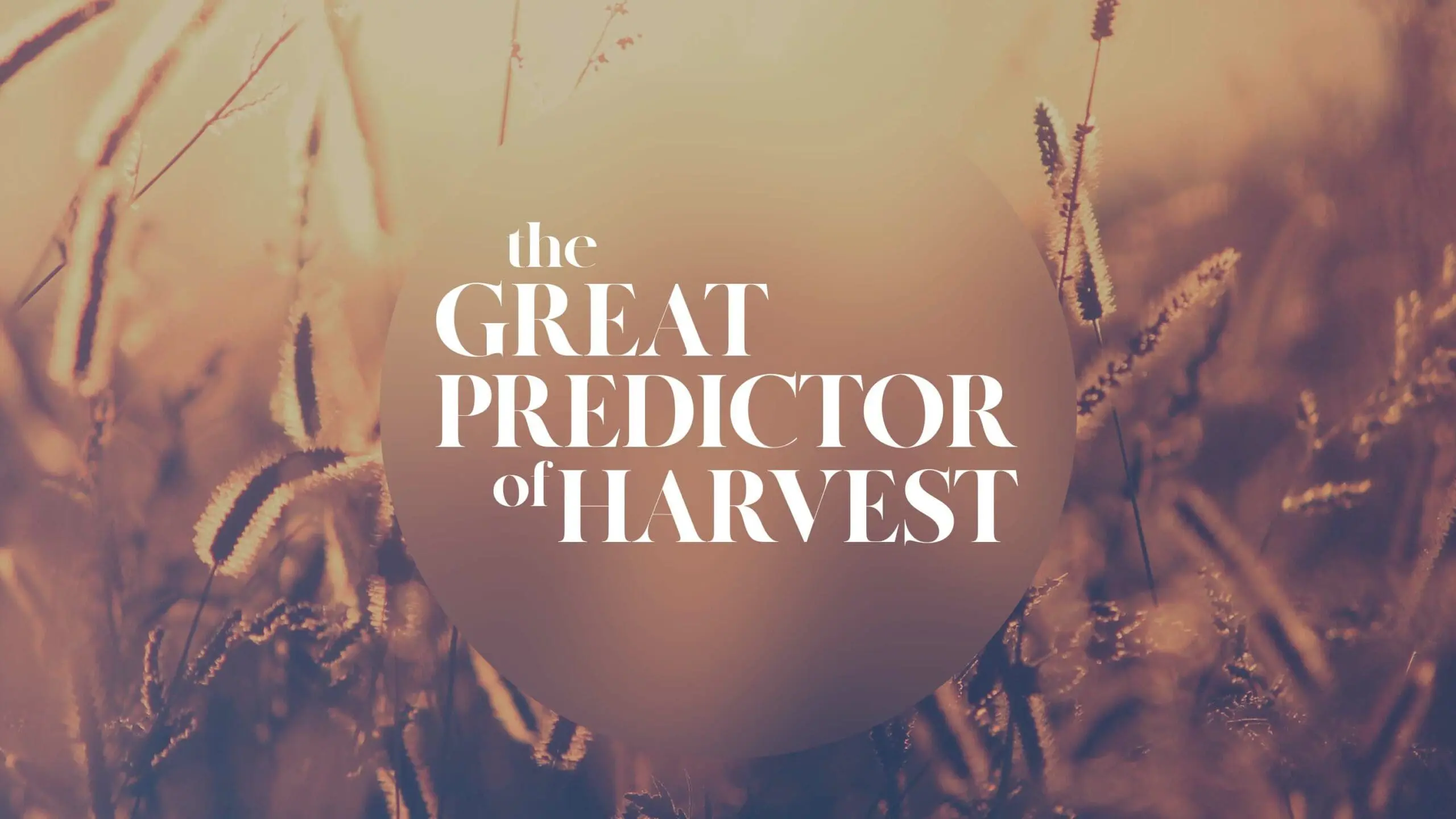The Great Predictor of Harvest