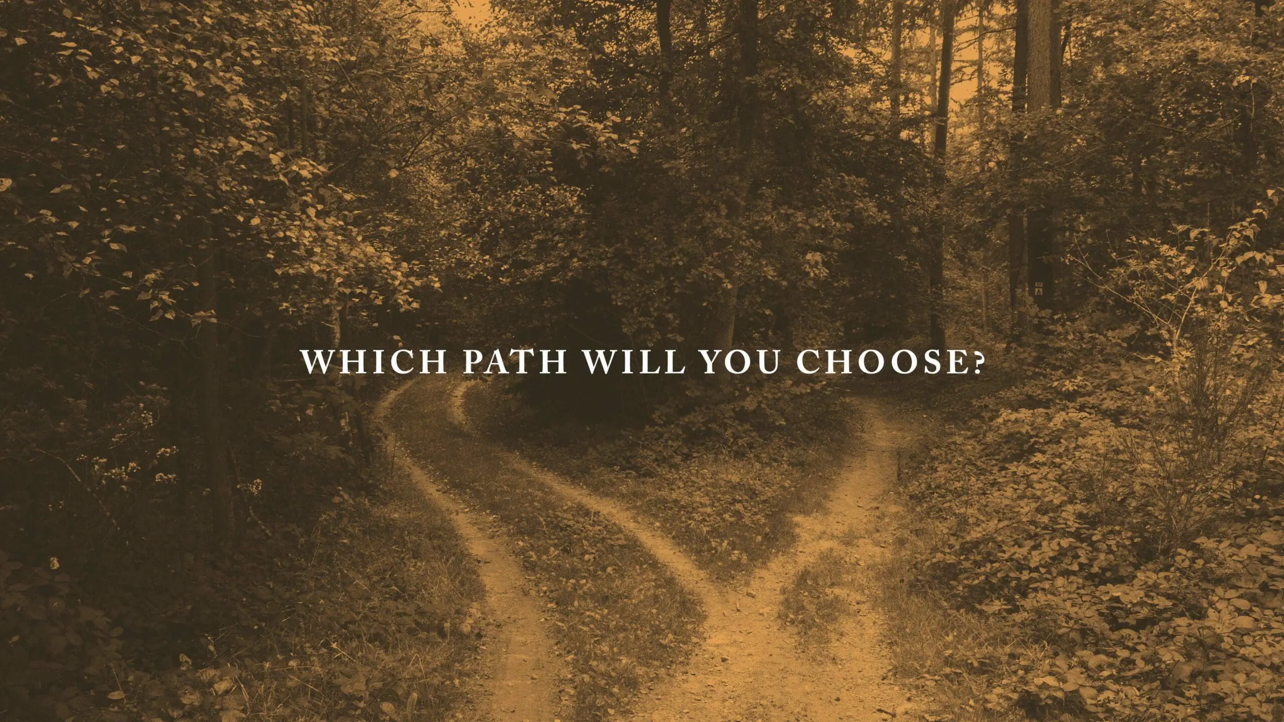 Which Path Will You Choose?