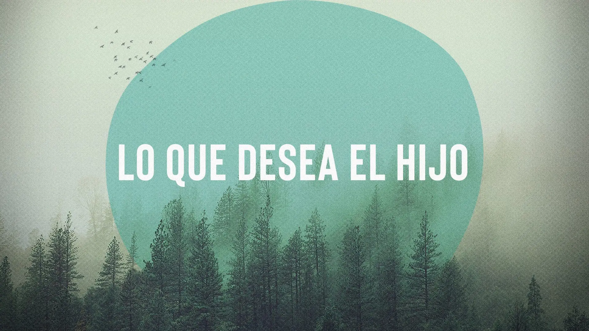 Lo Que Desea El Hijo