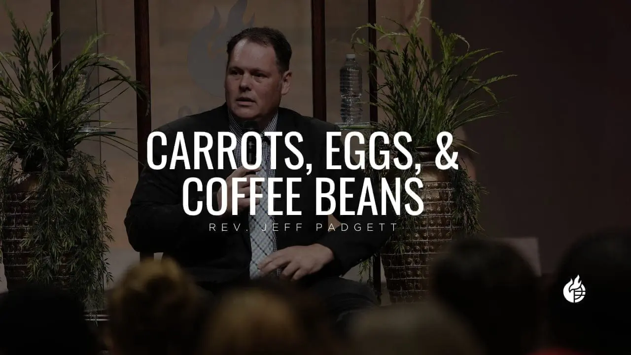 Carrots, Eggs, and Coffee Beans