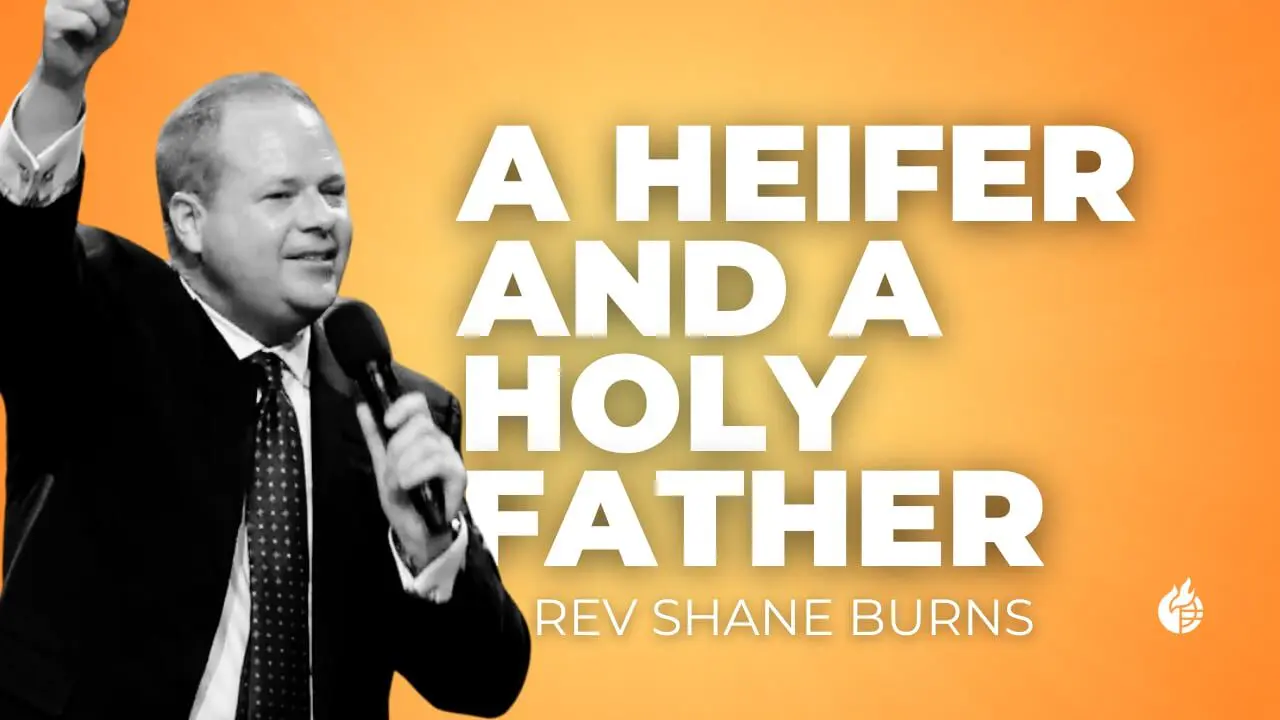 A Heifer and a Holy Father