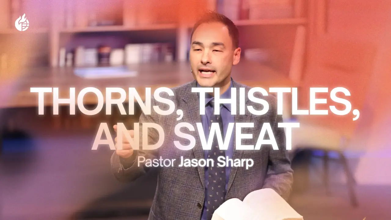 Thorns, Thistles, and Sweat