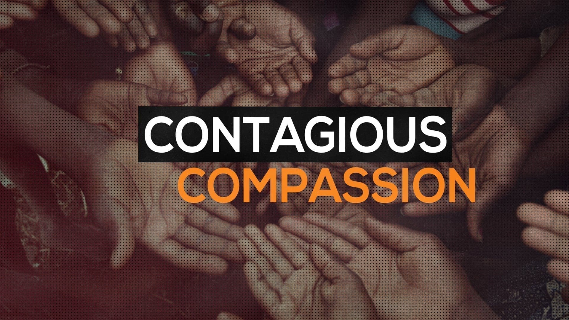 Contagious Compassion