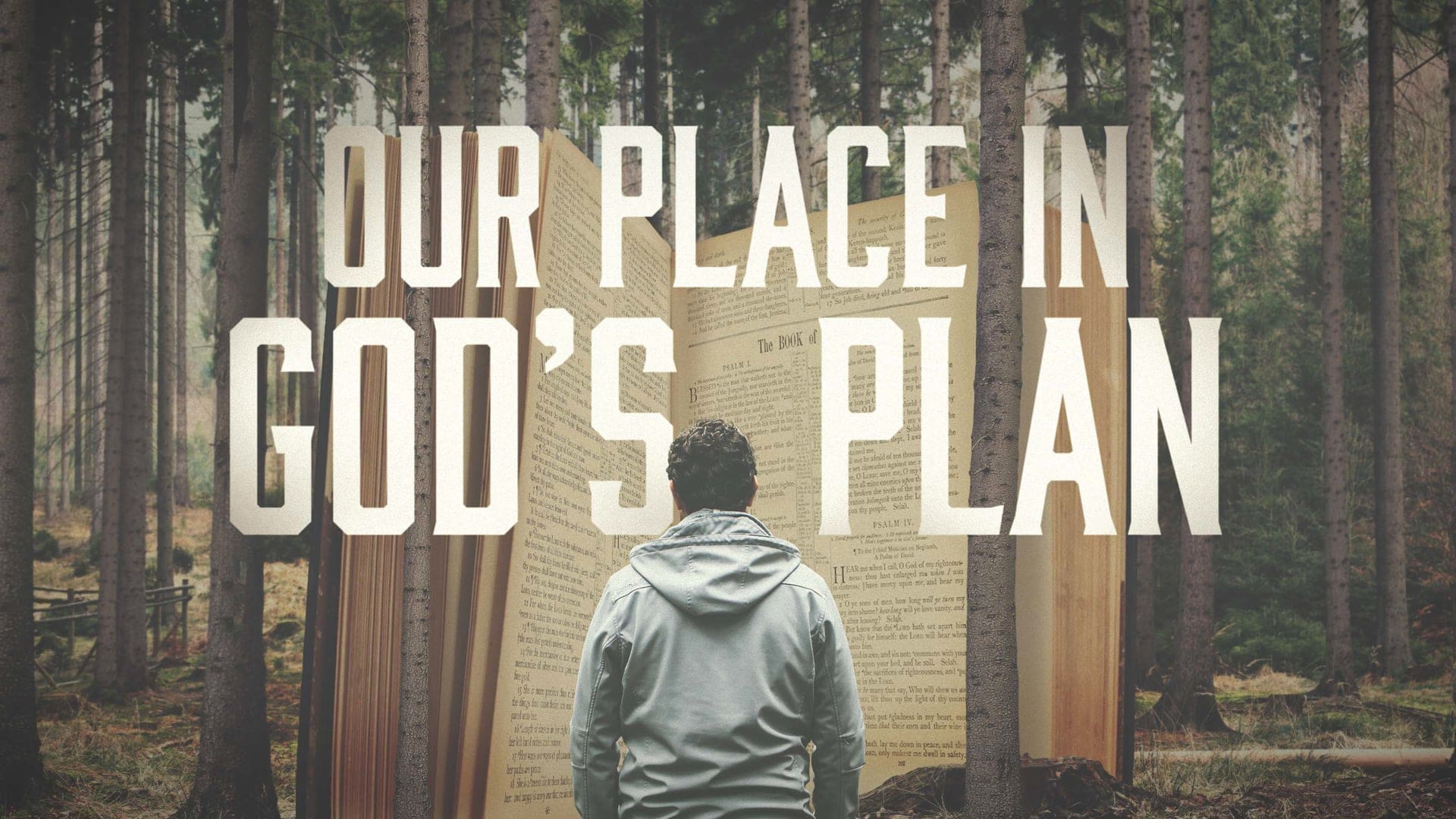 Our Place in God’s Plan