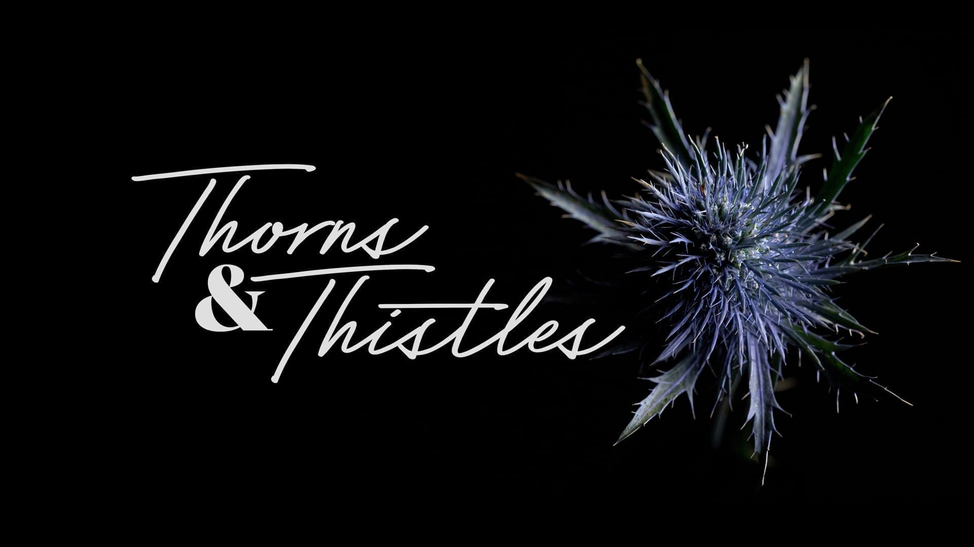 Thorns and Thistles