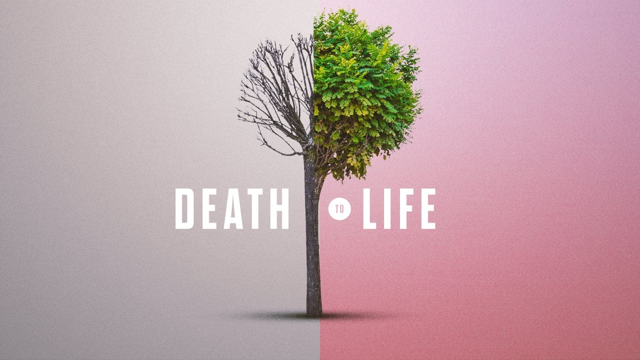 Death to Life