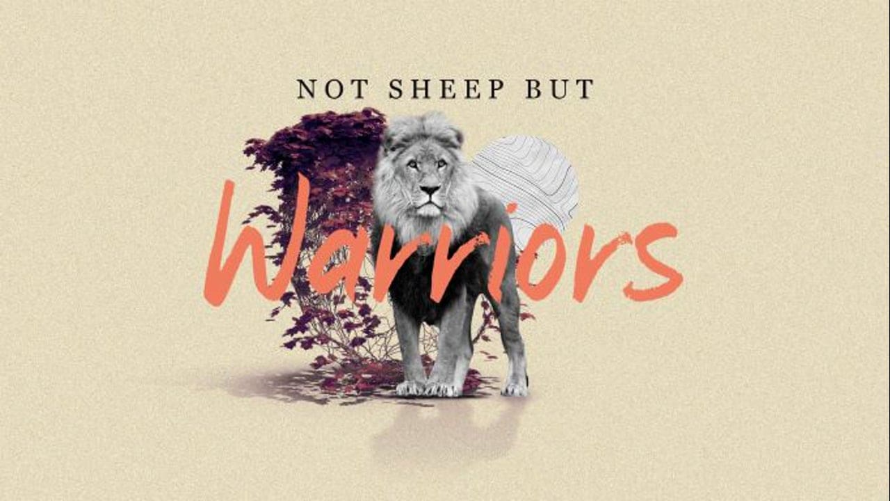 Not Sheep But Warriors