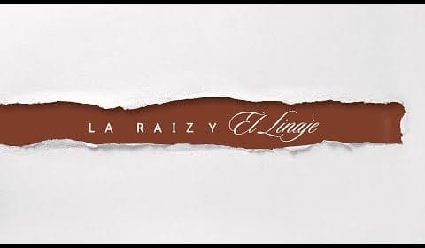 La Raiz y El Linaje